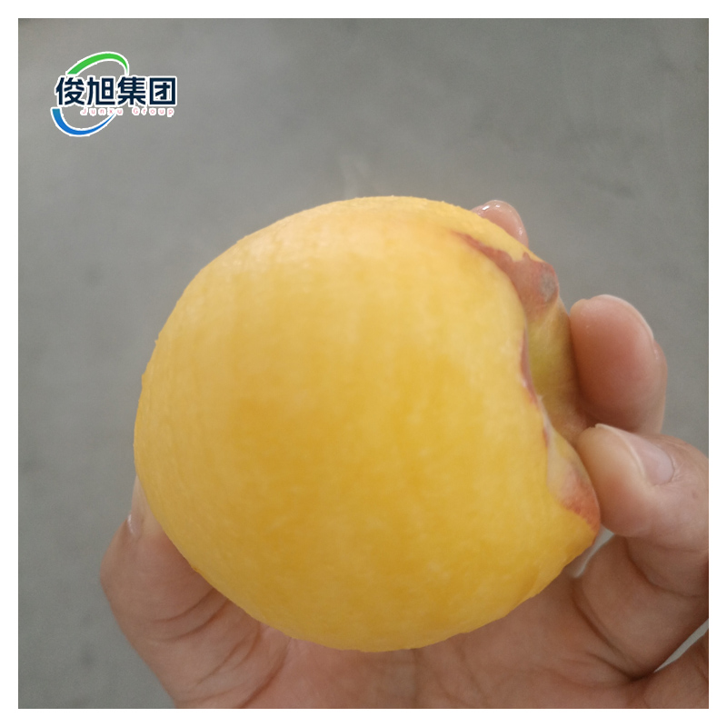 Industrial Four Station Onion Peeling Machine for High Capacity Production by Junxu