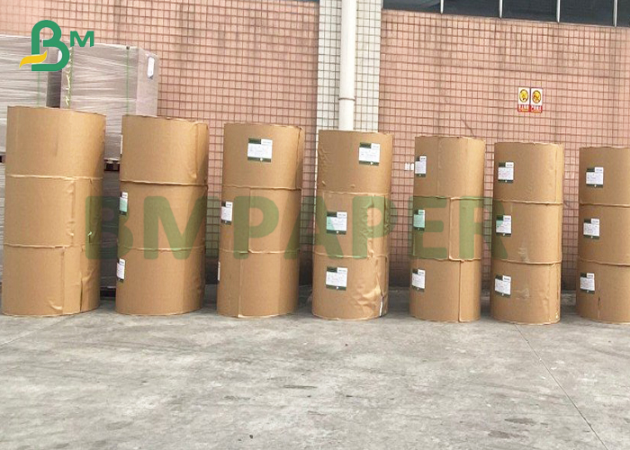PE Coating cupstock paper