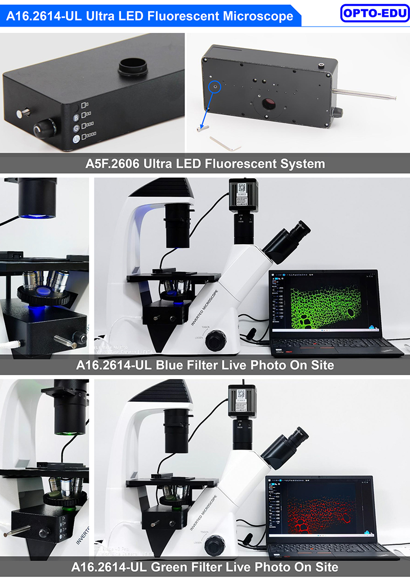 OPTO-EDU A16.2614-UL China Supplier High Brightness Inverted Ultra LED Fluorescent Microscope Price