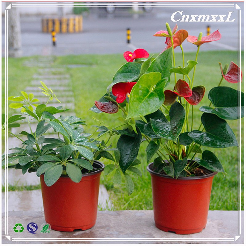 Home & garden red bonsai pots planters for wholesales