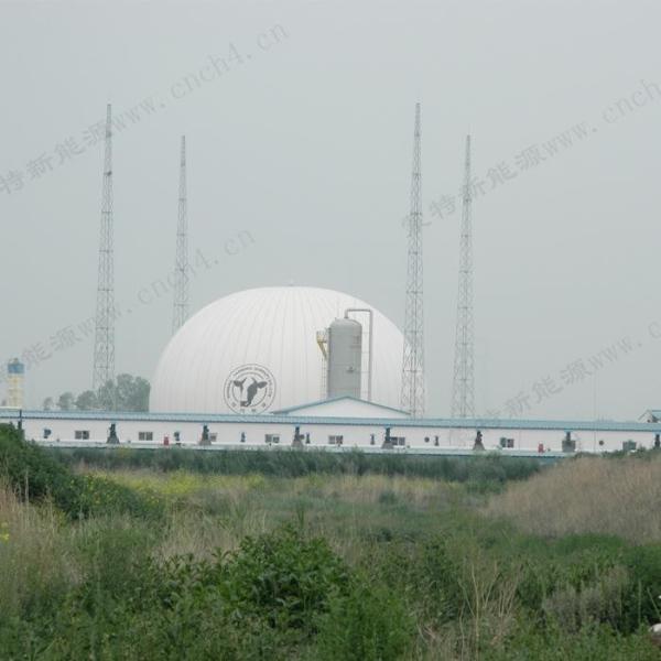 Quality Free Standing Double Membrane Biogas Storage Tanks for sale