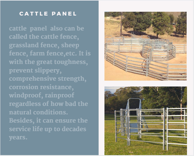 From Budget Cattle Panels To Extra Heavy Duty Cattle Corral Panels For Sale