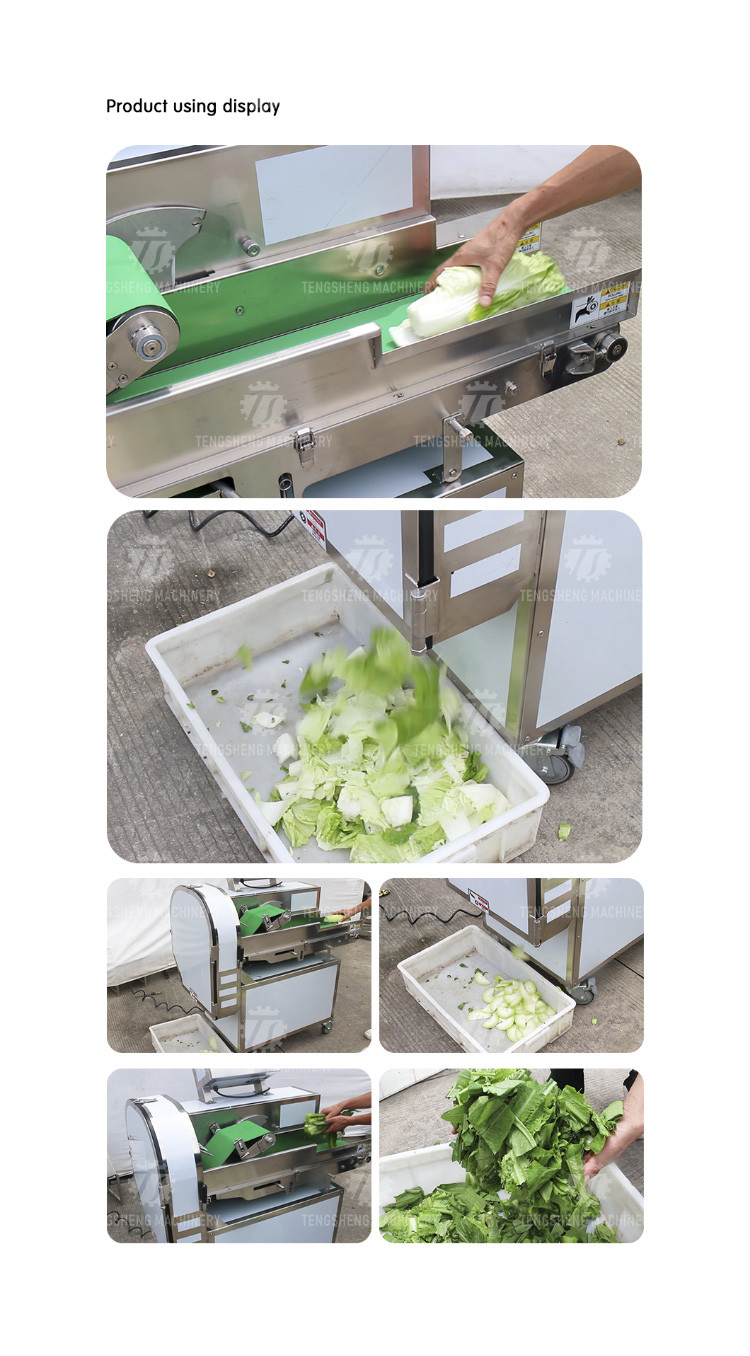 180KG Large canteen commercial potato slicing multi-functional single head vegetable leaf slicing machine made in Taiwan