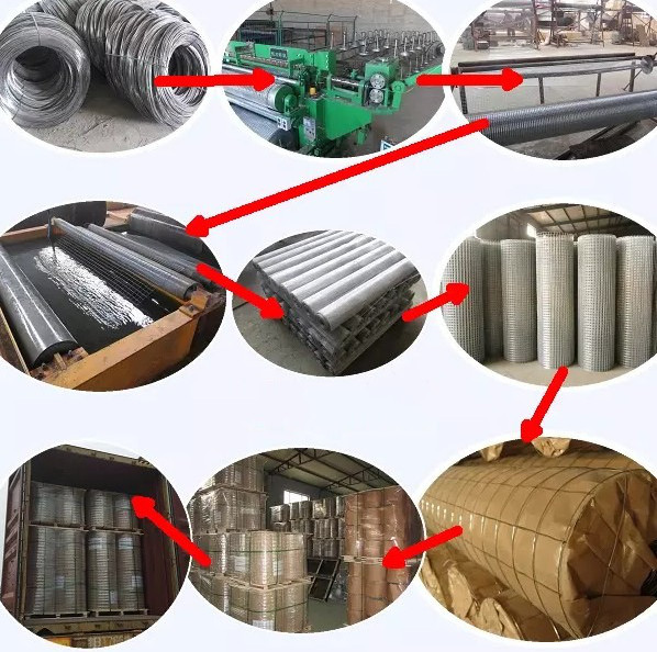 Green PVC 0.65" X 0.65" Grid 19 Gauge 40" X 82Ft Galvanized Mesh Rolled Hardware Cloth For Rabbit Wire Poultry Fencing