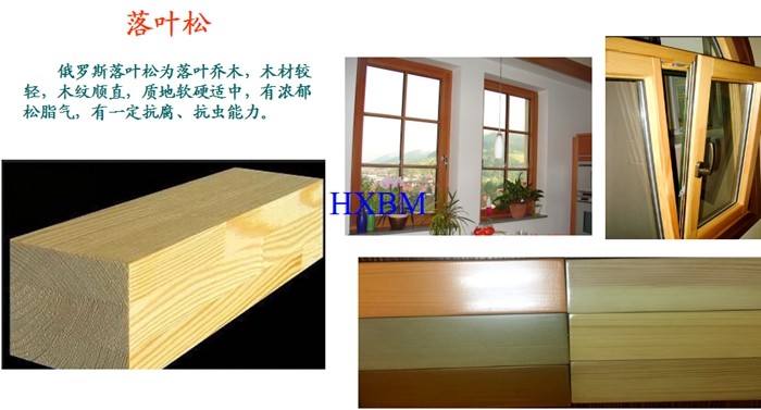 Luxury Apartments Timber Window Frames , High Strength Wood Replacement Windows