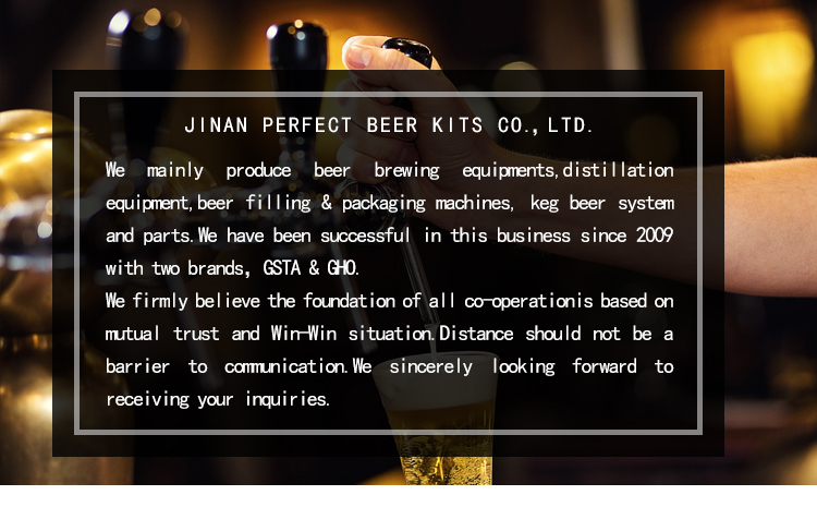 220V/110V Stainless Steel Nano Beer Brewing Equipment for Industrial Manufacturing