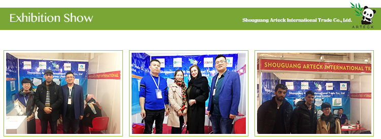 Industrial Paper Carbonless Copy Printing Jumbo Roll with Customes Requirements Width