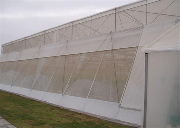 Quality Anti-Insect, Anti -Hail Mesh Netting, Agriculture, Crop Cover Netting, Fruit Tree Cover, Greenhouse Cover Nets for sale