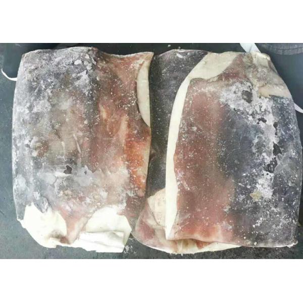 Bqf Squid Dried Fish Frozen Huge Size Store Condition -18 Degree C