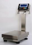 WF-BS 600KG 304 SS Industry brushed finishing Waterproof IP68 Platform Weighing Scale for sea food AC 220V 50Hz