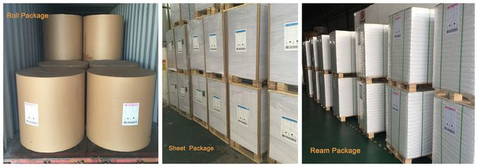 	53GSM 60GSM 70GSM Bond Paper / Offset Printing Paper For Excercise Book