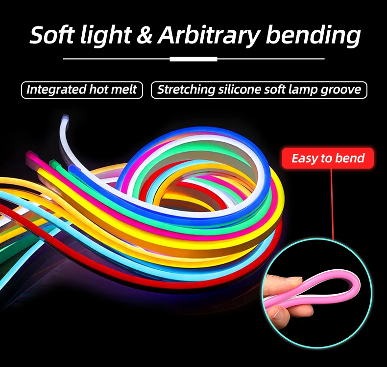 Silicone Extrusion Neon Lights 110V 127V 220V IP65 Waterproof 120leds/m SMD 2835 Led