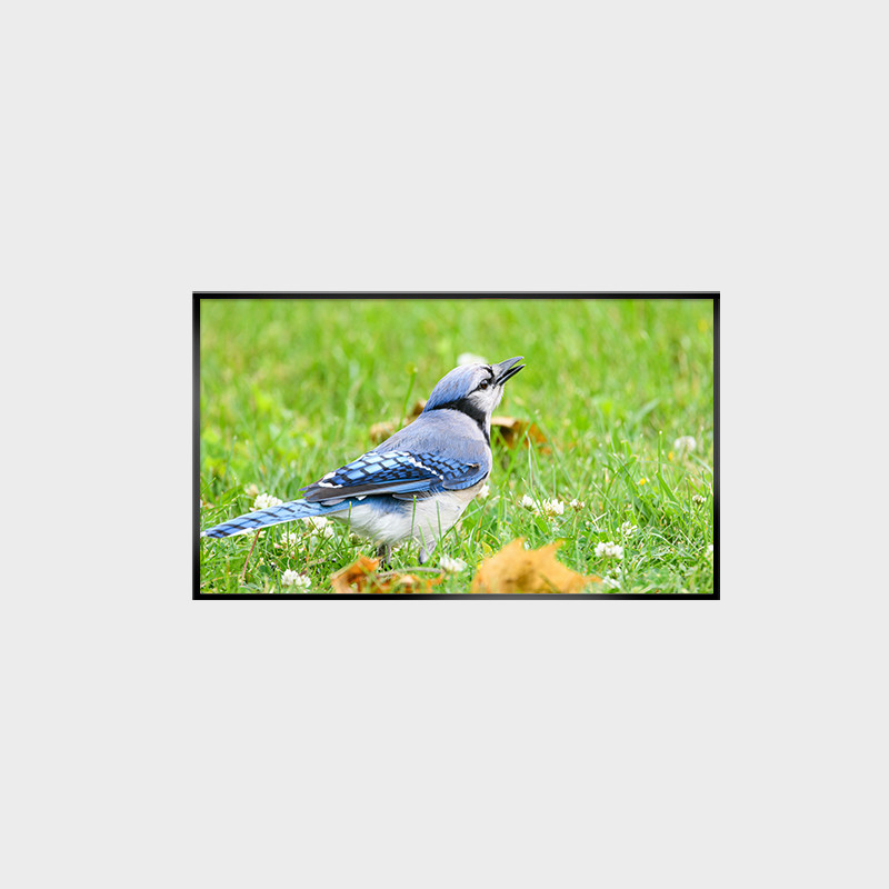 Buy cheap 43-inch High Brightness LCD Screen LCMA-RX0430GB07-Z250 with 1920*1080 Resolution and Brightness of 2500nits product