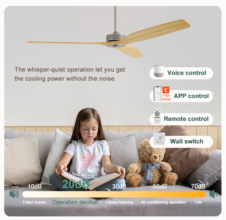 Installation Ceiling 60" Low Noise Ceiling Fan with Remote Control and Private Mold NO