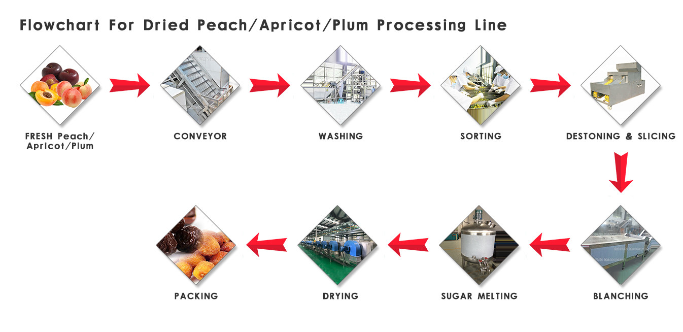3tons/Day PLC Control Peach Apricot Fruit Processing Line