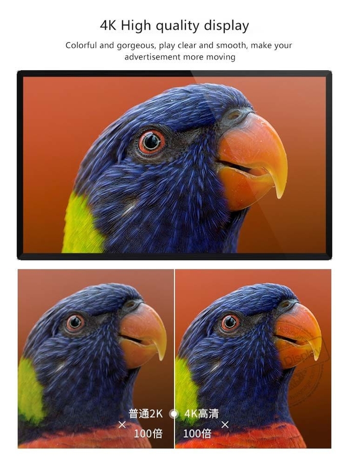 50 Inch LED Monitors Roof Hanging HD Wall Mount Screen Android OS LCD Display
