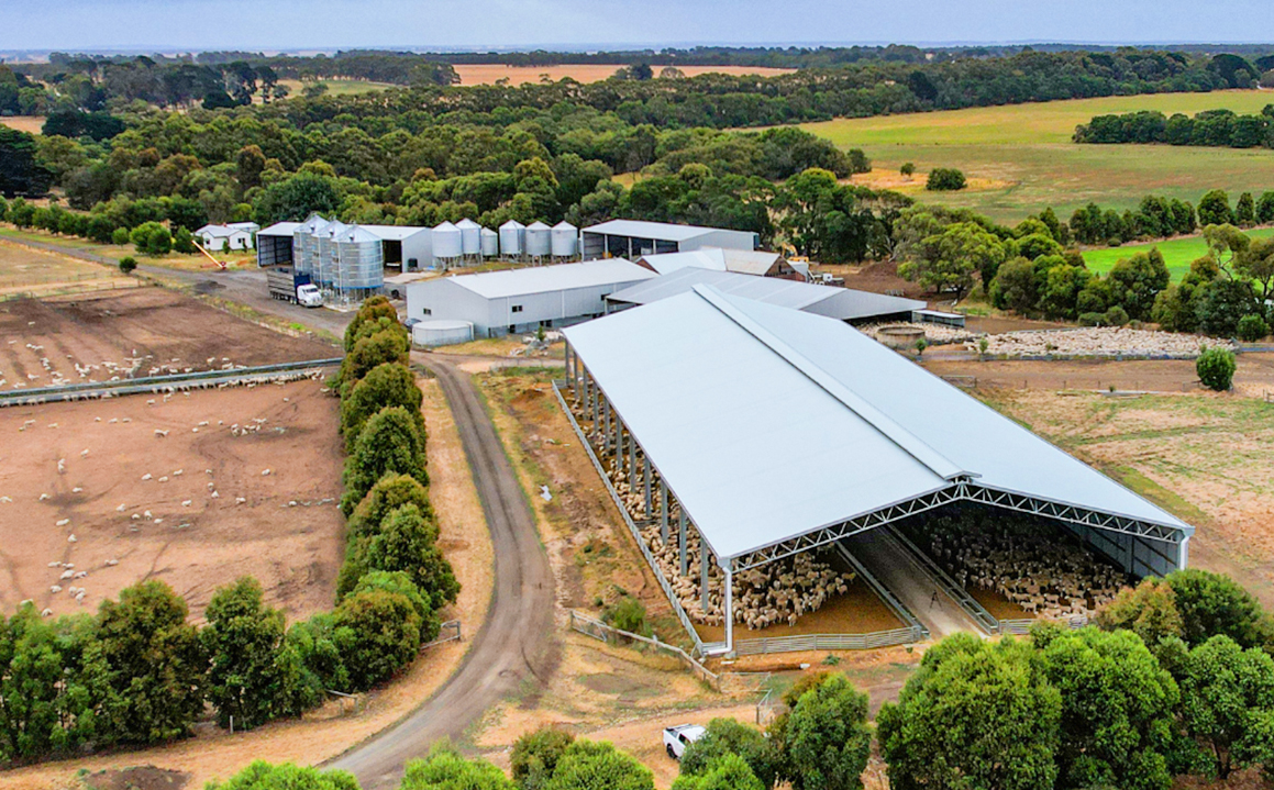 Prefabricated Barns for Cattle Horses Goats and Sheep Fast Build Steel Structure