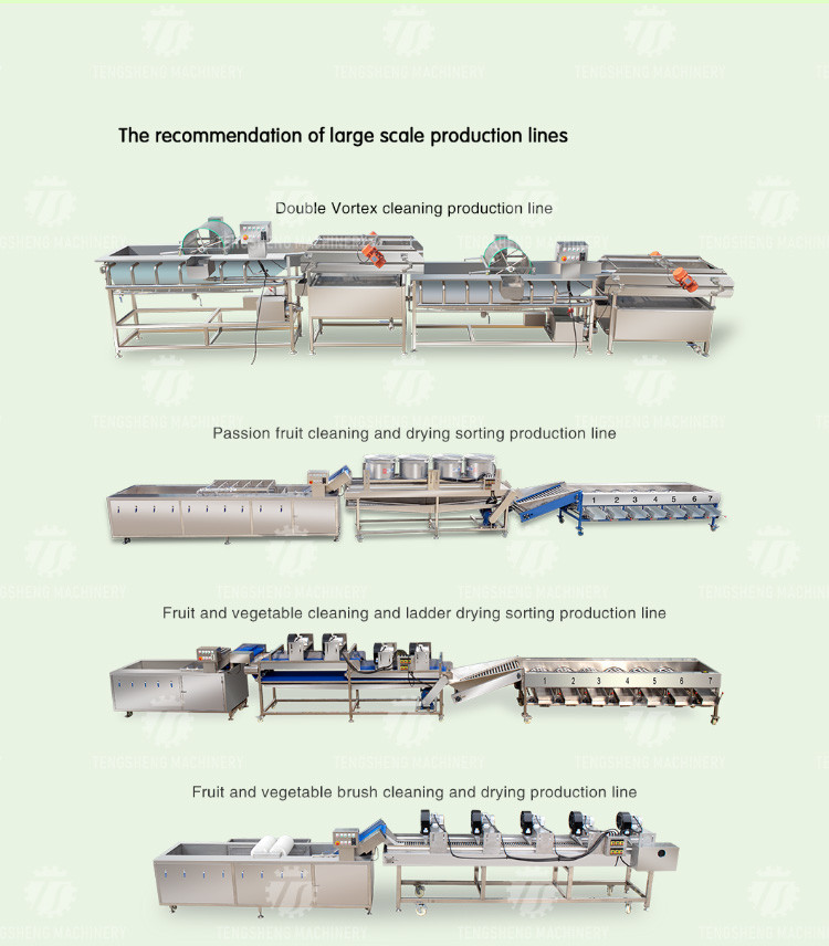 1.1KW Commercial eddy current bubble washing machine ozone multifunctional vegetable washing machine