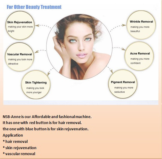 2 Hanlde IPL Hair Removal Machines For Age Pigment Removal N5B - Anne