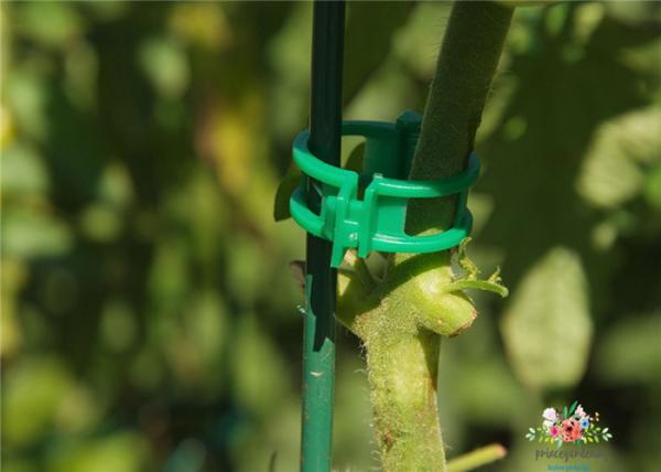 Plastic Pipe Plant Vine Flower Stand Bracket Gardening Support Rod Dia 8/11/16/20mm