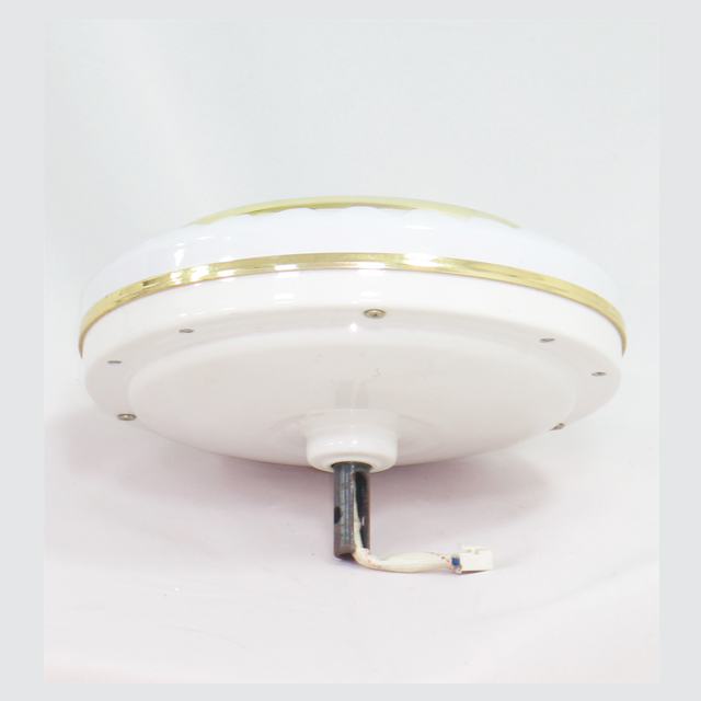 Remote Control Cooling Blade Ceiling Fan 12V Industrial Emergency Ceiling Fans