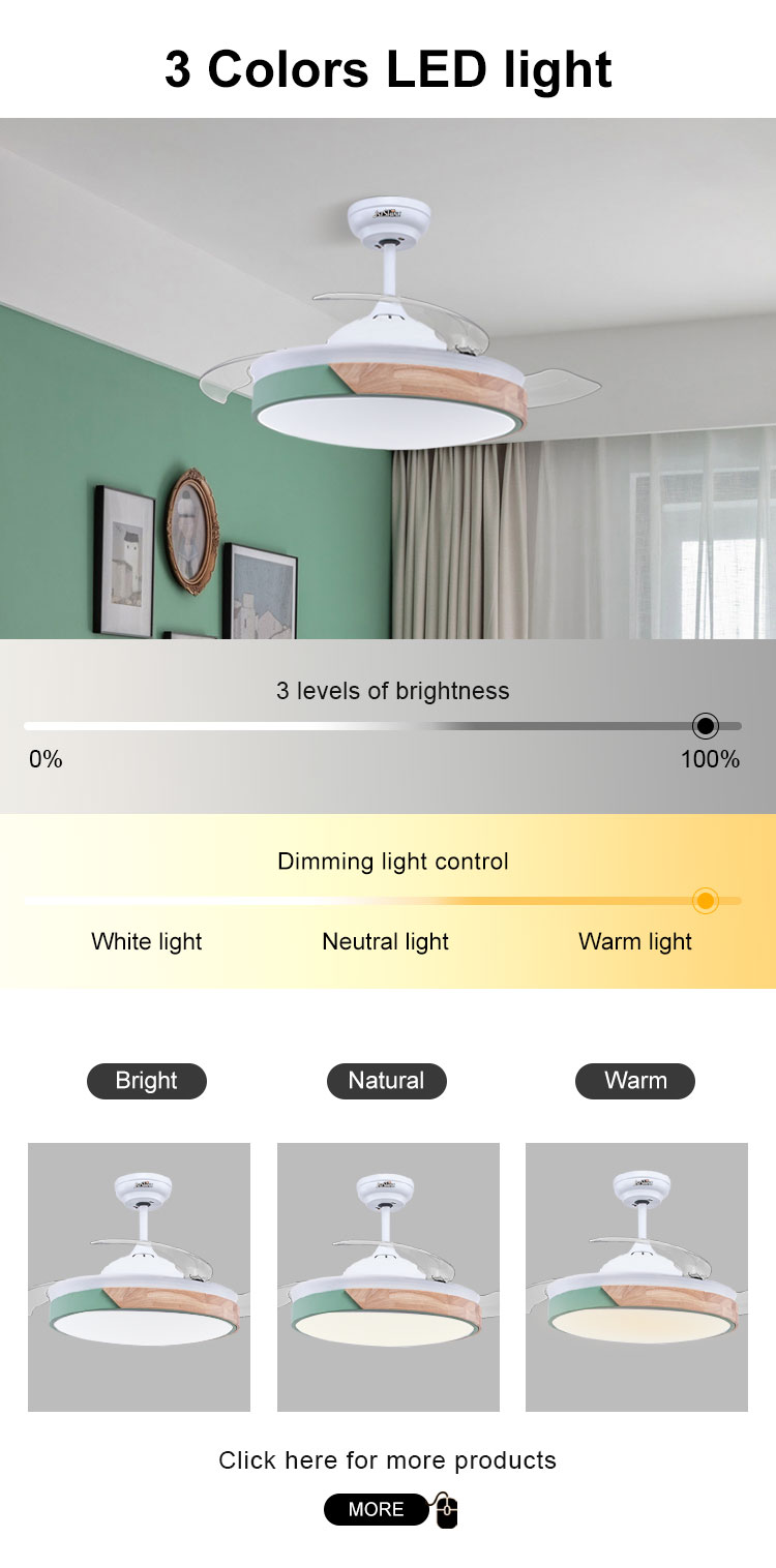 Color Temperature Options 42 Inch Ceiling Fan with Hidden Blades and Remote Control