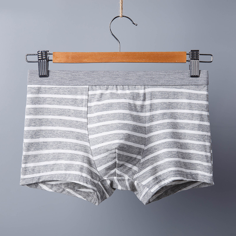 XXXL 165kg 95kg Cotton Men Underwear Sexy Pure Cotton Briefs Adults Stripe Sports
