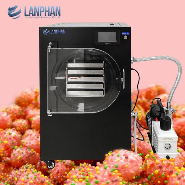 Fast Freeze Drying Machine Freeze Dryer Freezes Dried Candy Food Liquid Vacuum