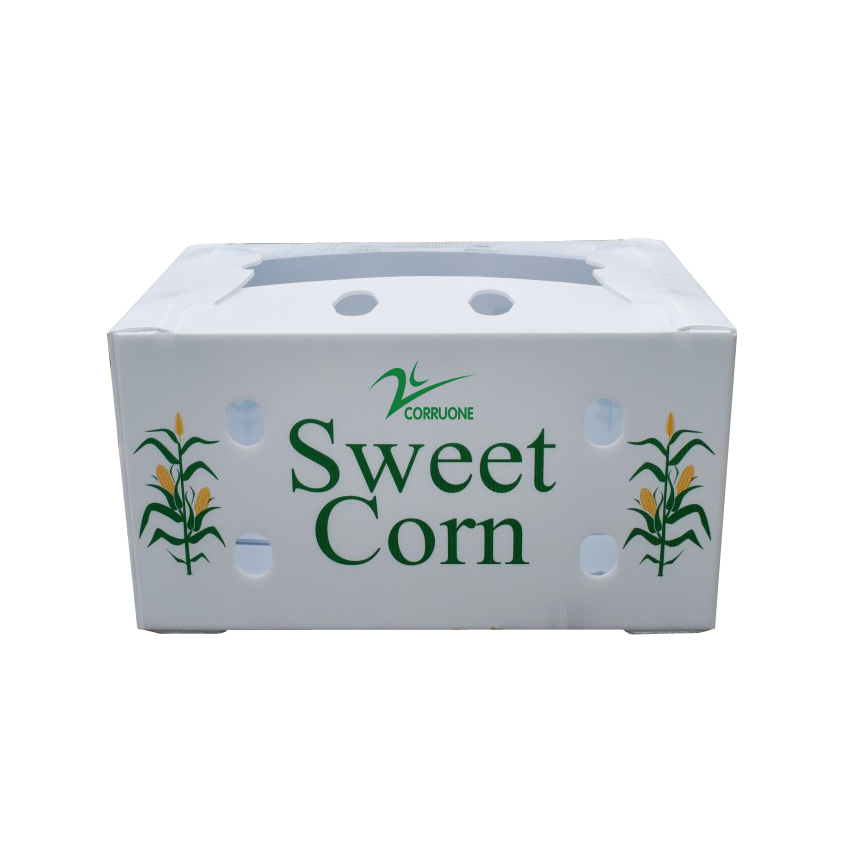 Customizable Vegetable Corrugated Boxes for Safe and Transportation