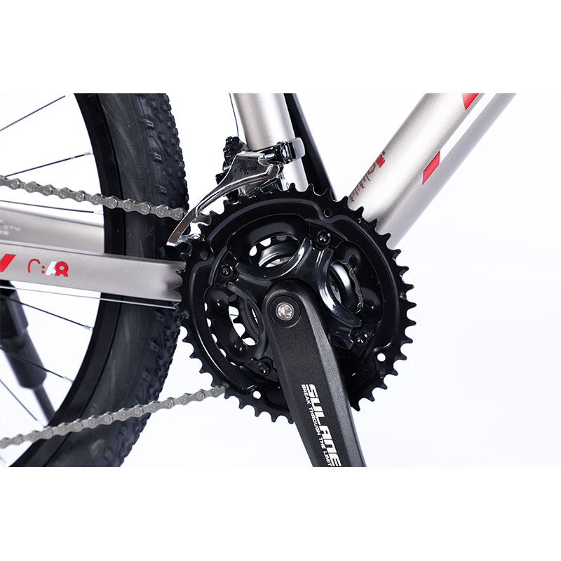 Alloy Frame Inner Cable Custom 26/27.5/29 Inch Bicicleta Mountain Bike 30 Speed Gears
