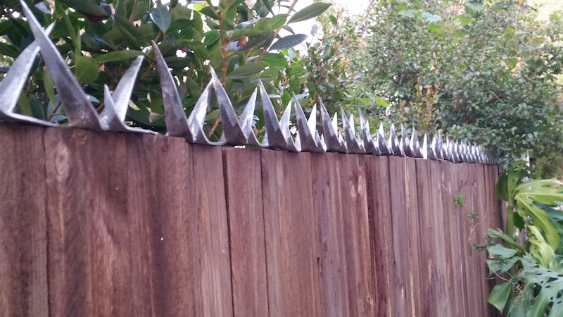 Hot Dipped Galvanized Anti Climb Spikes Rooftop Razor Spikes For Security