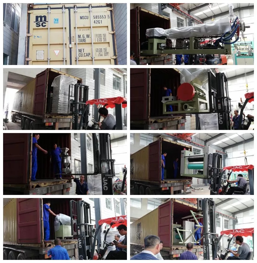 Sugarcane Bagasse Pulp Disposable paper food container machine fast food box making machine paper plate