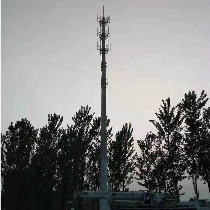 Oem Steel Mono Pole Public Square Artificial Pine Tree Telecommunication