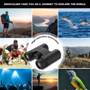 G 10x42 High Power Binoculars for Long Distance Viewing