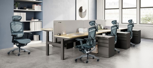 ISEE Back Adjustable Home Office Mesh Back Upholstery Seat Ergo Desk Chairs