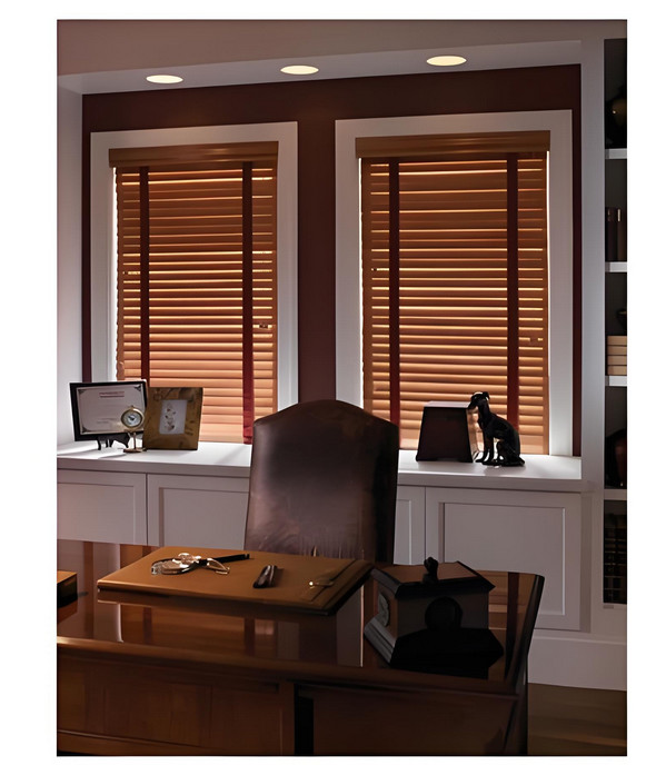 Modern Cordless Window Shades Thermal Insulation Ultra Privacy Custom No Cord Blinds