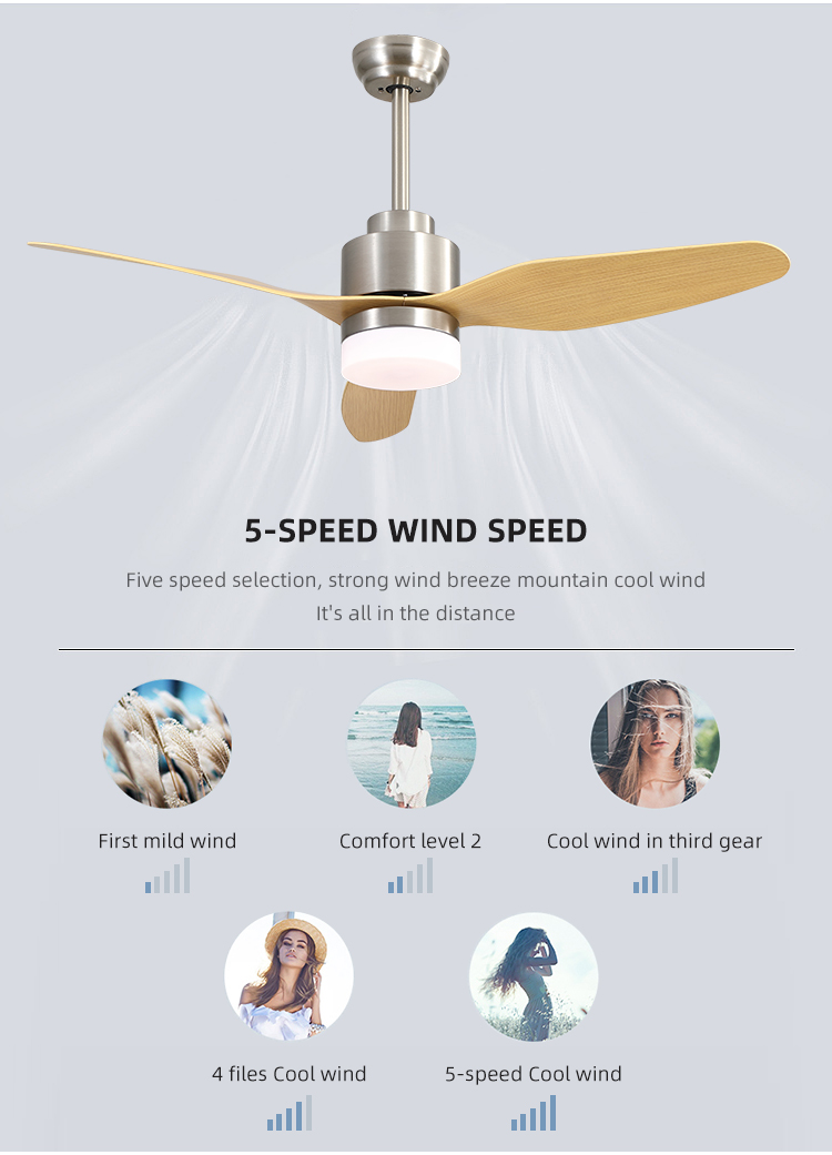 Remote Control 3CCT 47Inch Iron Outdoor ABS Blade Ceiling Fan For Home Office