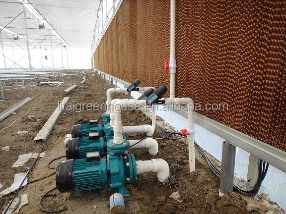 Smart Controlled Safe Glass Greenhouse for Vegetable Fruits Flowers Top Height 4.8m-6.8m