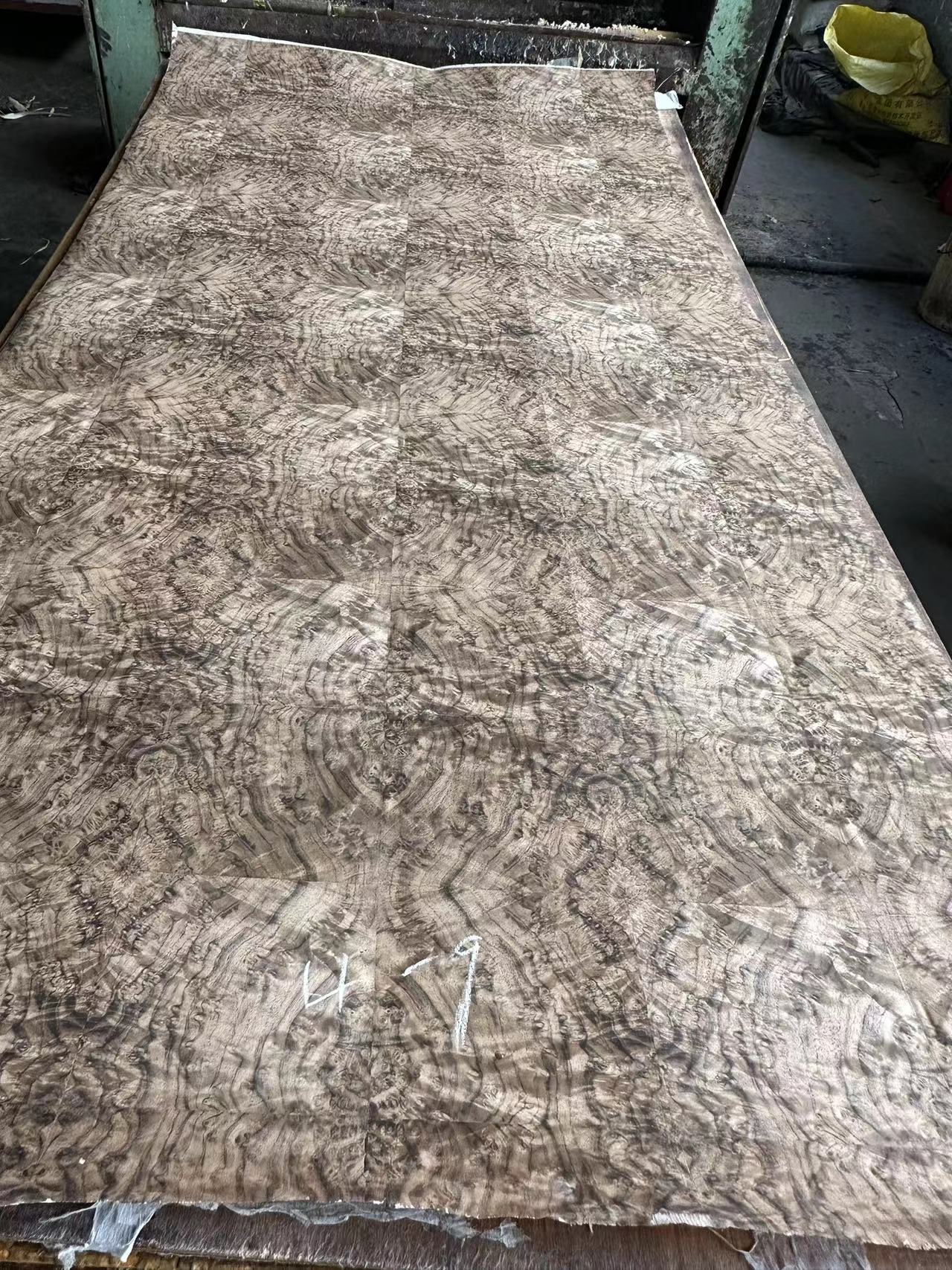 Factory Price 4 * 8 Feet High End Black Walnut Burl Wood Veneer Furniture Wall Panels Door Wood Venee