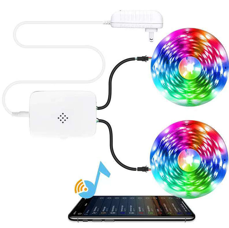 DC12V App Remote Rgb Rgbic Led Light Strip Light Waterproof Programmable