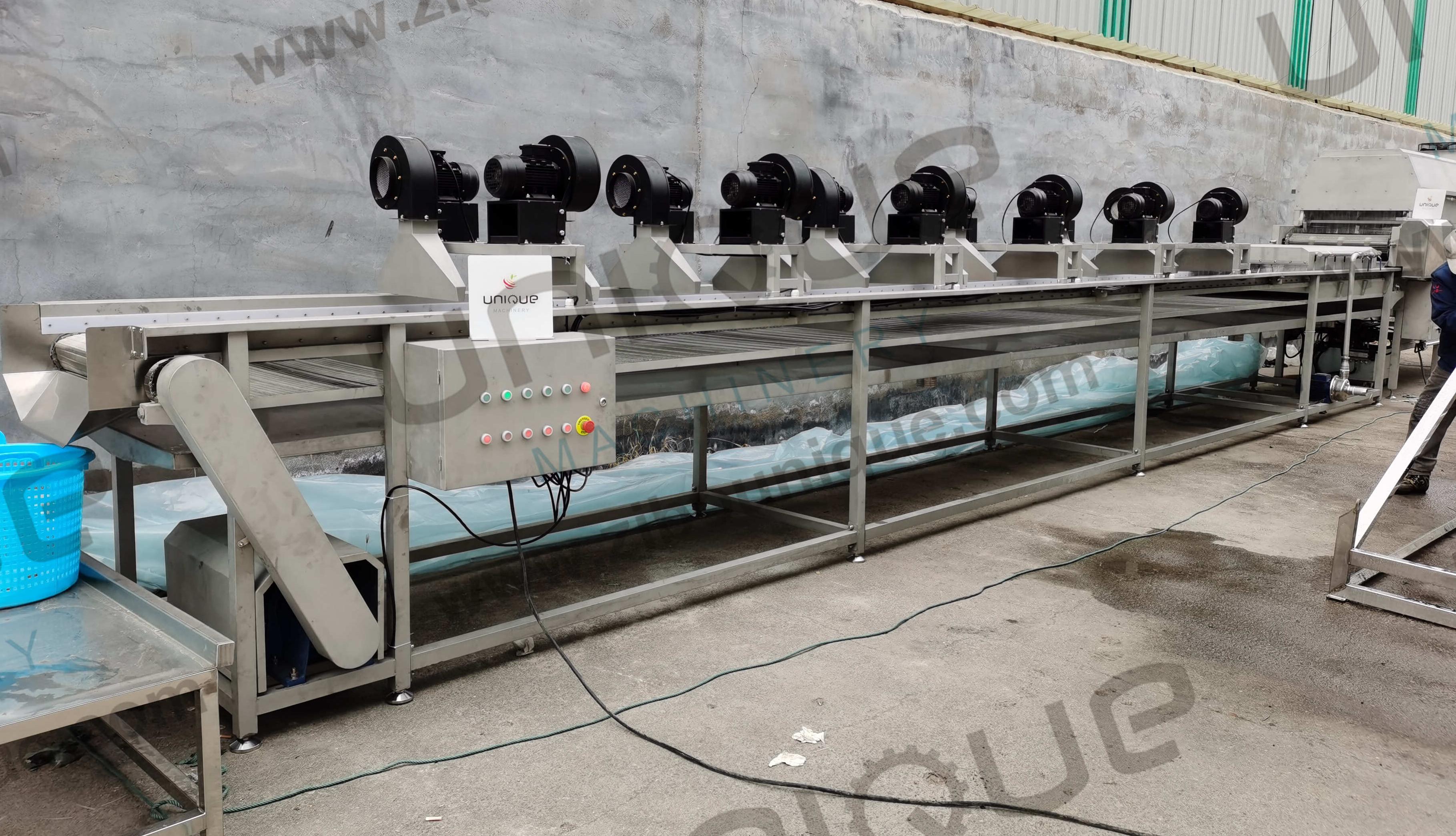 Stainless Steel 304 Date Seed Removing Olive Pitting Machine for Restaurant Kitchen