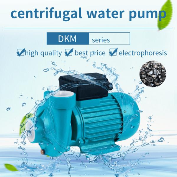 Single Stage Horizontal Centrifugal Water Pump Electrophoresis 2DKM-20 Wide Flow