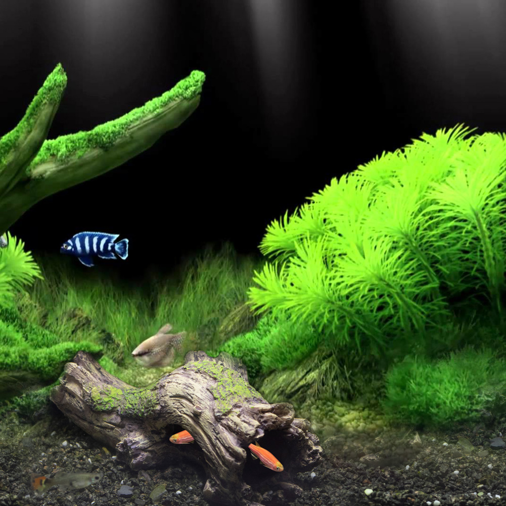 Non Toxic Resin Fish Tank Hiding Decorations