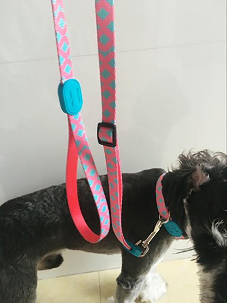 49ft 15m Custom Patterned Dog Leashes For Big Dogs Luxury Dog Leads