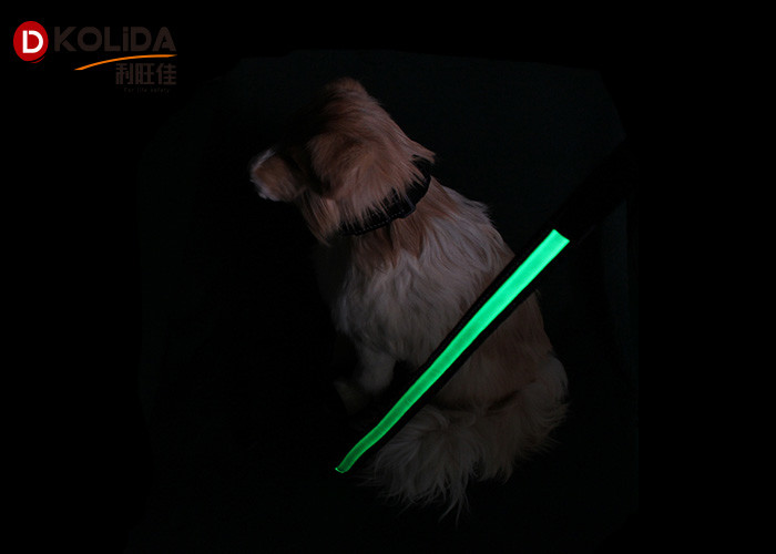 Green / Pink / Blue Nature Nylon 120cm Illuminated Dog Leash , USB LED Waterproof Pet Collar