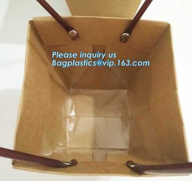 OEM Logo Printed Paper Packaging Bag Custom Good Quality Flower Carrier Bag,Art Paper Flower Carrier Bag Shopping Bags W