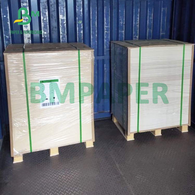 Clay Coated Kraft Back