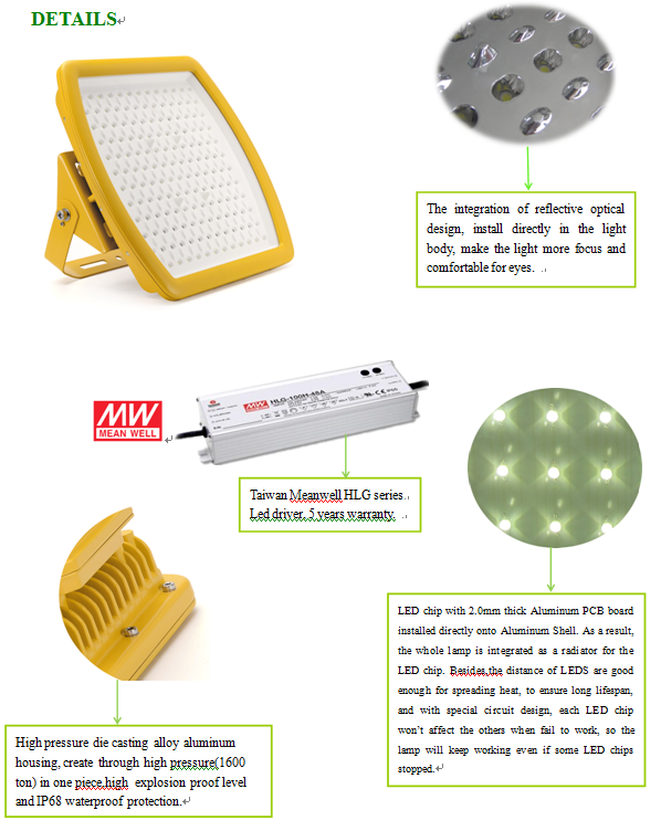 Explosion Proof LED Lighting -300 Floodlight ATEX IECEx