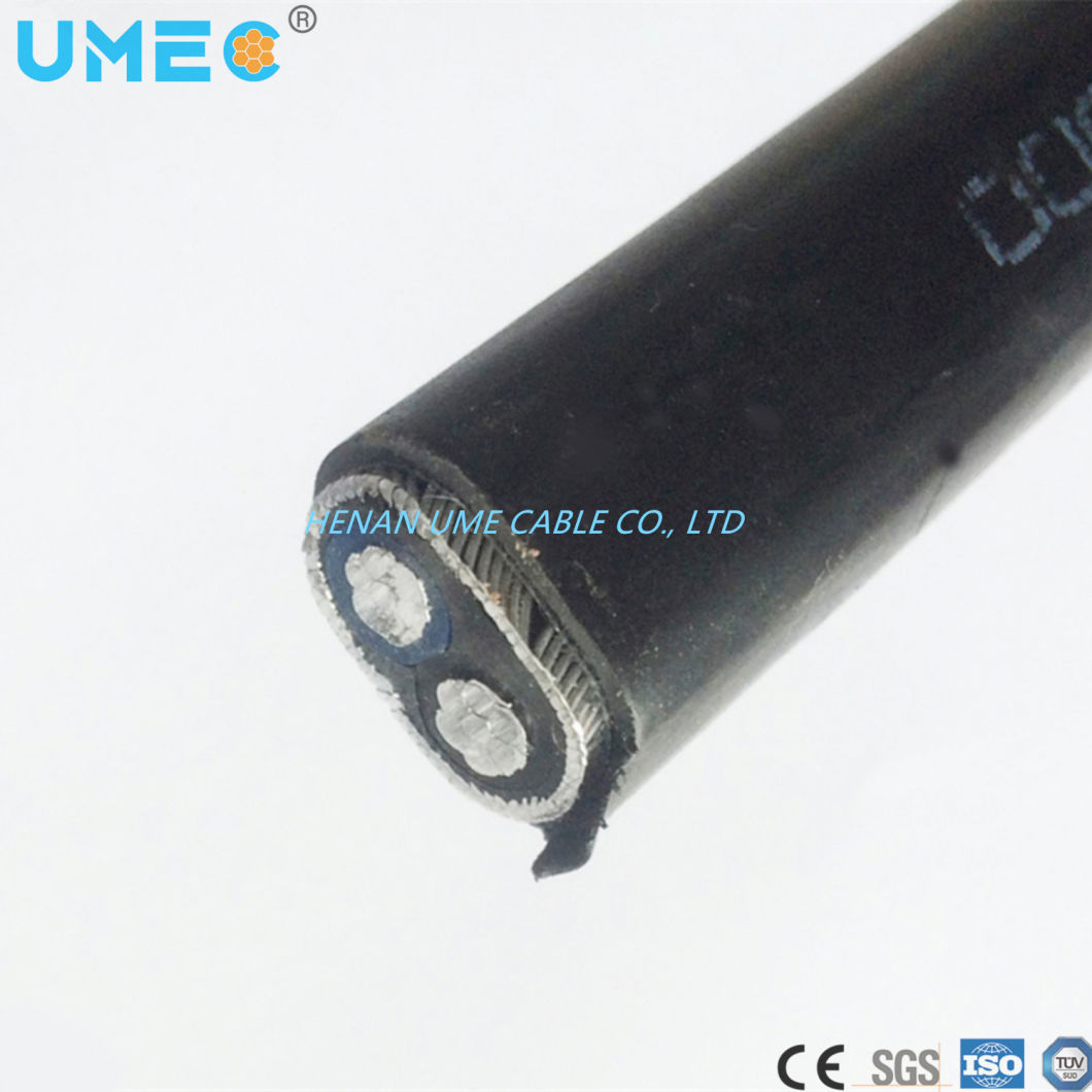 Concentric Cable - Dominica Market Concentric Cable