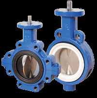 Ductile Iron DI WCB SS304 Stainless Steel Ptfe Split Body Butterfly Valve Wafer Lug Wormgear PN10 16 Handle